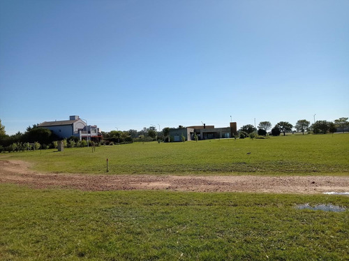 Imagen 7 de 13 de Terreno - Gualeguaychu