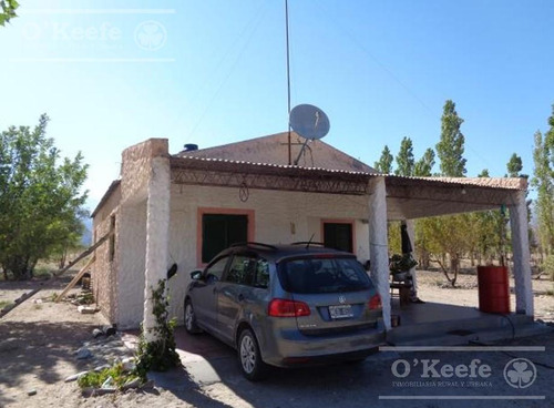 Campo En Venta De 300 Has Santa Maria, Catamarca