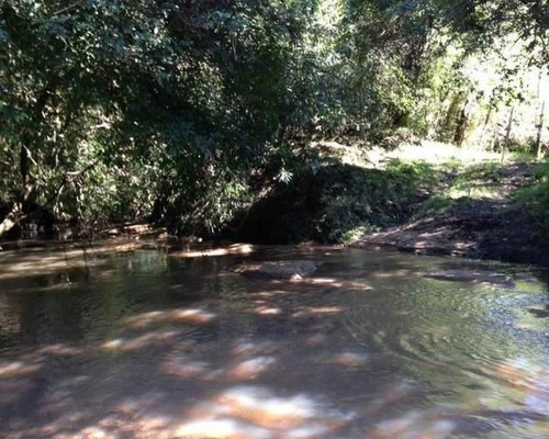 Imagen 7 de 15 de Quinta En Venta En Garzon