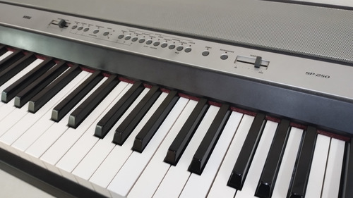 Piano Korg Sp250 A Reparar No Enciende Gris