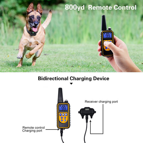 Collar Eléctrico Trainer Dog Shock Dog Ladros Automático
