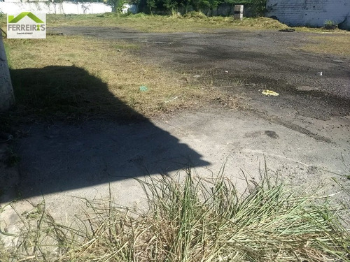 Imagem 7 de 7 de Terreno A Venda . - 301-1