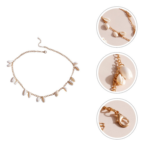 Collar Cowrie Collar Beach Shell The Summer