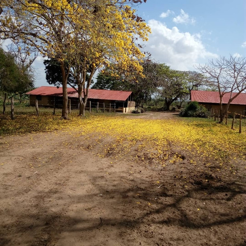 Imagen 9 de 9 de Venta De Finca En Los Cardones Ve02-021lc-mt