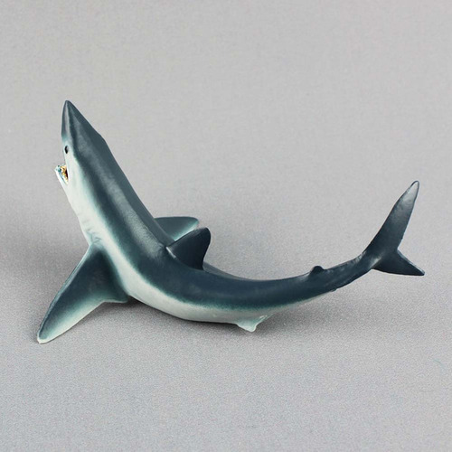 Decoración De Organismos Marinos Con Modelo Animal De Alta S