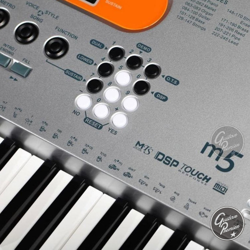 Organo Teclado Sensitivo Medeli M5 61 Teclas 5/8 Usb Atril