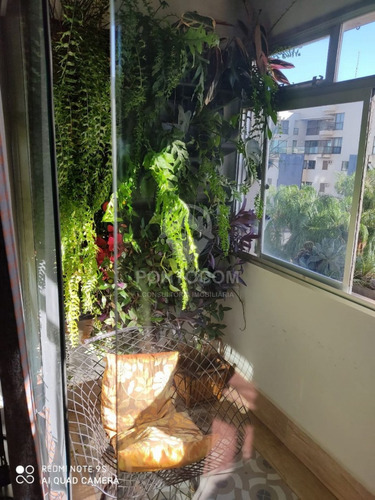 Imagem 7 de 8 de Lindo Apartamento - Centro - 3841038v
