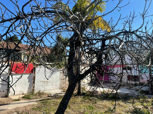Imagen 6 de 13 de Terreno - Las Lomas-beccar