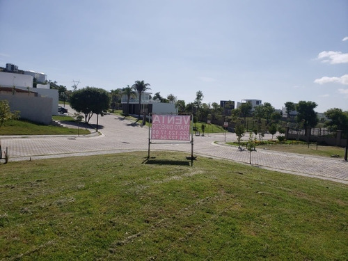 Imagen 4 de 14 de Terreno En Esquina, Parque Anahuac, Angelopolis Ill