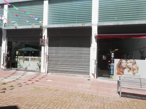 Alquiler Local Ciudad Vieja