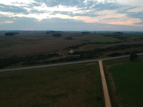 Campo De 125 Hectáreas En La Zona De Garzón