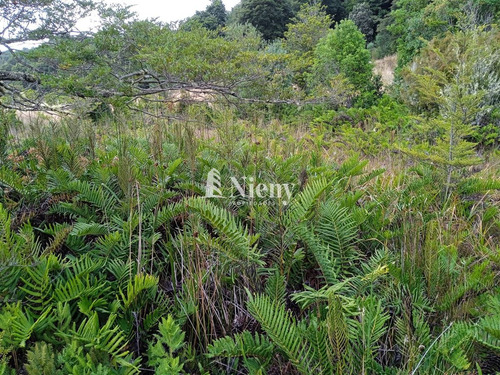Terreno 5000 Mts En Venta Con Orilla De Estero, Los Muermos