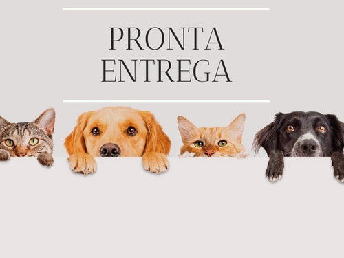 Simparic 20,1-40kg 3 Comprimidos Mastigáveis De 80mg P Cães
