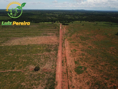 Imagem 7 de 15 de Fazenda À Venda Em Fátima - To-excelente P/ Lavoura, Plantio De Até 800 Hec - 1617