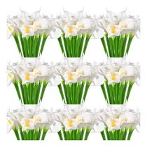 Comprar Hanaive, 100 Unidades, Falso Lirio De Cala, Flor De Lirio