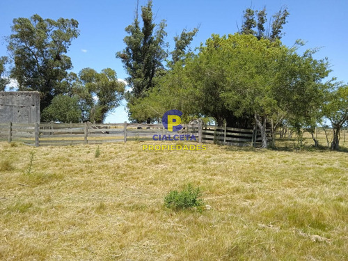 23 Hectáreas En Lavalleja Con Arroyo