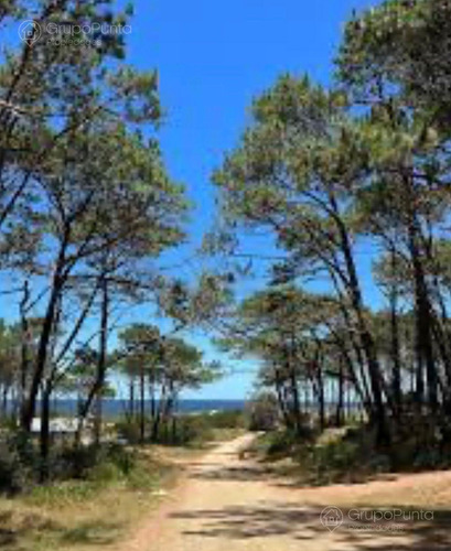 Terrenos en venta - Ocean Park