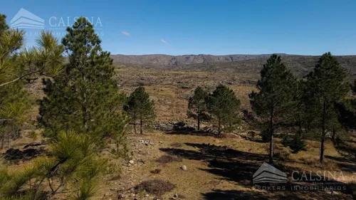 Terreno Campo En Venta Sobre Rio Yuspe - foto 1