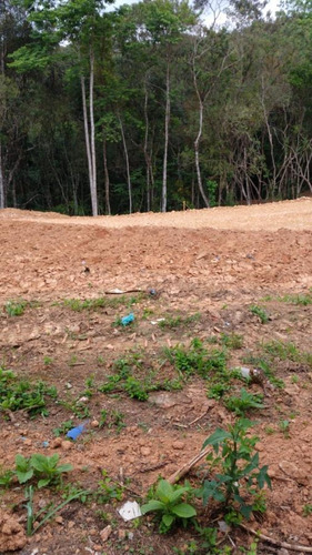 Imagem 14 de 15 de Terreno Em Condomínio Para Venda Em Curitiba, Santa Cândida - 344_2-1090205