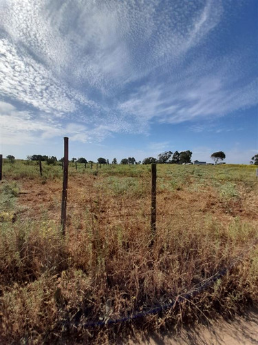 Excelentes Terrenos I Planos I Ritoque