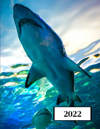 2022: Agenda 2022-2023 -enero A Diciembre- - Año Natural - P