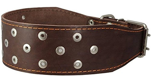 Dogs My Love Collar De Cuero Marron Con Tachuelas De Cuero