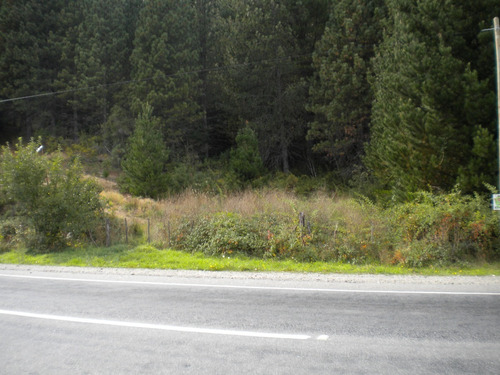 Terreno Con Bosque Nativo Sobre La Ruta 16