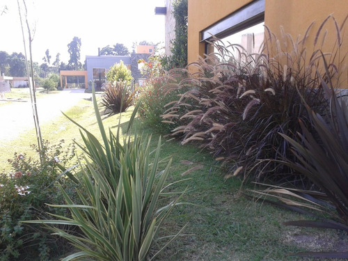 Imagen 5 de 10 de Jardinera Sistemas De Riego Paisajismo Diseños