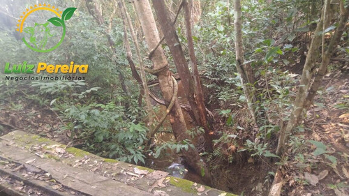 Imagem 8 de 15 de Fazenda À Venda Em Santa Tereza Do Tocantins-to-de 166 Alqueirões(pecuária) - 1692