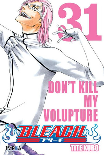 Bleach Vol 31