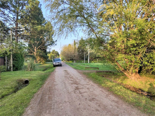 Imagen 29 de 30 de Venta Hermosa Quinta 5 Amb, Lote 1000m2