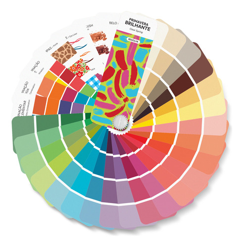 Cartela Paleta Cores Coloração Pessoal - Primavera Brilhante