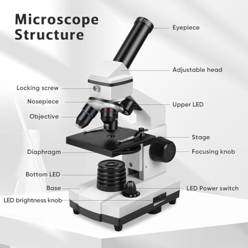Microscopio Para Adultos Profesional: Microscopio