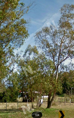 Imagen 14 de 14 de Ruta 104 Zona Ideal Para Vivir Todo El Año - San Carlos Quinta De Medina