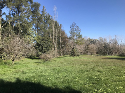 Sensacional Quinta En Venta En El Cazador Escobar Con 10.000m2 De Lote
