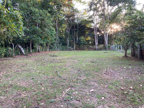 Se Vende Propiedad En Río Hondo De Siquirres 7000 M2