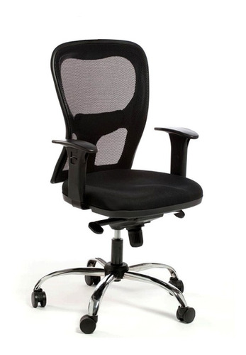 Silla Sillon Ergo Citiz Brazo Regulable Portantino Cromo