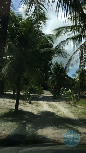 Imagem 12 de 12 de Sao Goncalo Do Amarante - V-11040