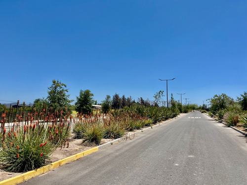 Baja De Precio! Sitio, Con Buenos Accesos A Carreteras