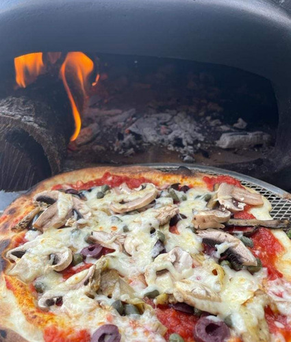Horno Artesanal Gas Y Leña (Usado)
