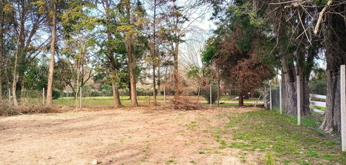 Imagen 3 de 16 de Barrio San Jeronimo Lote Terreno Buenos Aires Matheu Escobar