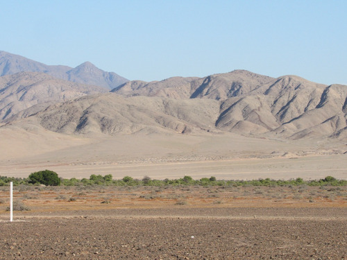 Imagen 5 de 9 de Terrenos En Copiapó - Último Terreno Disponible Doña Jacinta