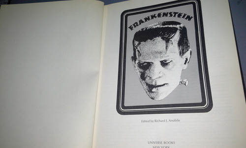 Libro Frankenstein 1931 Fotohistoria Del Film Terror Karloff