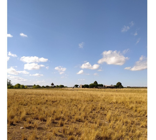 Vendo 14 Has Con Costa Al Arroyo Canelón Grande, Casa Amplia, 2 Galpones, Buen Pozo, Consulte