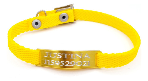 Chapita Gato Pasador Dorado+ Collar 1 Cm Reforzado Amarillo