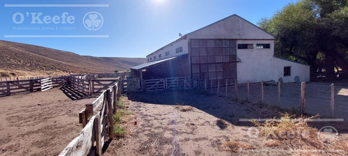 Campo Estancia En Venta De 5300 Has En Patagonia Bariloche.
