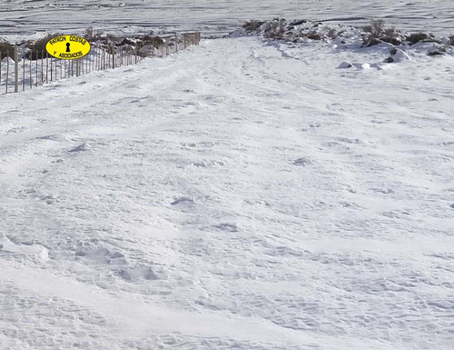 2435ml-fraccion 53 Ha Los Molles - Malargue_mendoza