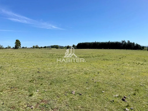 Cod35266 Vende Agrícola Campo De 36 Ha. Indigena En Lautaro