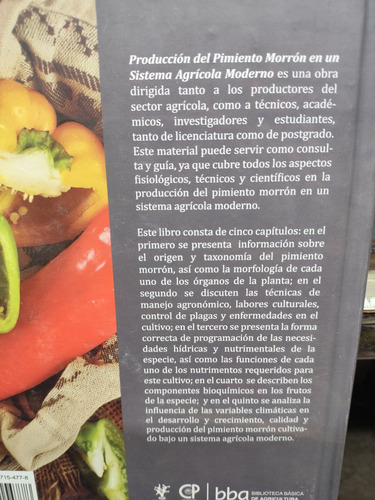 Produccion De Pimiento Morron En Un Sistema Agricola Moderno