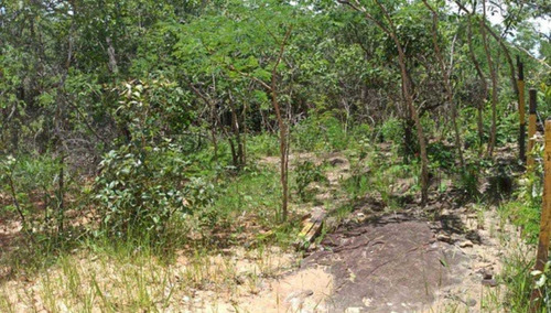 Chácara Em Ravena 1 Mil M2